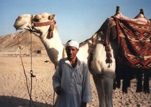 Beduine with camel