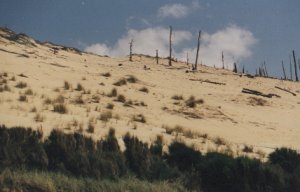 Part of the dune