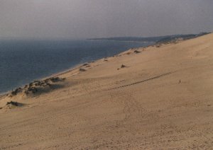 .....more sand and Arcachon at the horizon
