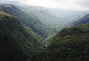 Pungwe Gorge