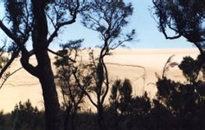 D'Entrecasteaux National Park, view of the Dunes from the bush