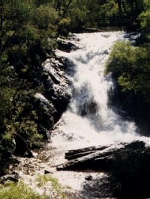 Beedelup Falls
